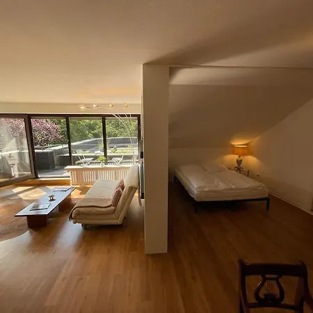 Grosse Loft- Wohnung Glueck Im Gruenen Rosrath Exterior photo