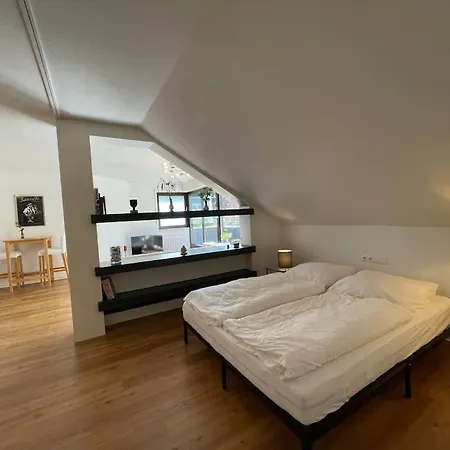 Grosse Loft- Wohnung Glueck Im Gruenen Rosrath Exterior photo